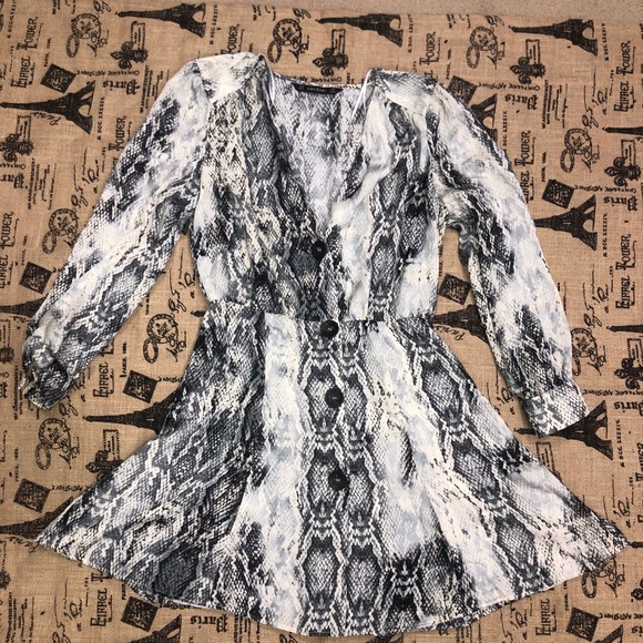 Zara Snake Skin Animal Print Silk Mini Dress - Picture 9 of 9